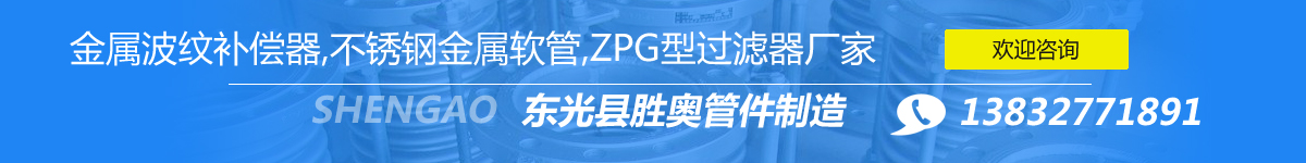 東光縣勝奧管件制造有限公司